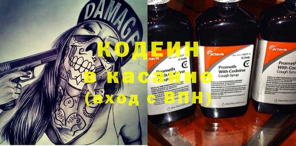 крисы Абаза