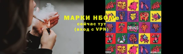 крисы Абаза