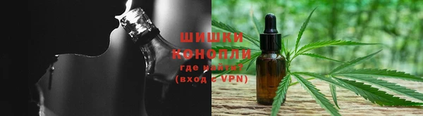 крисы Абаза
