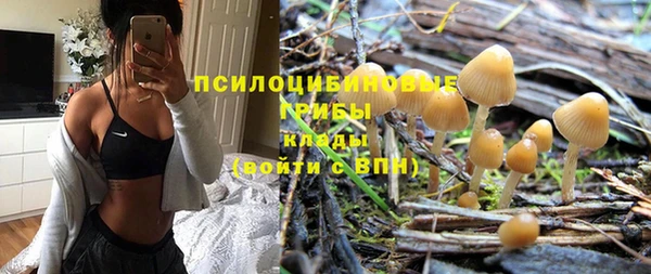 стафф Абдулино