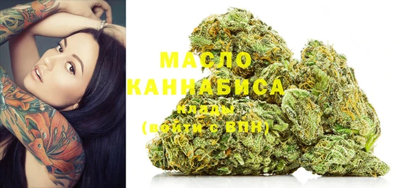 крисы Абаза