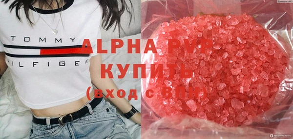 крисы Абаза