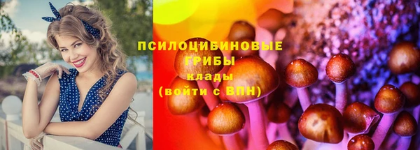 крисы Абаза