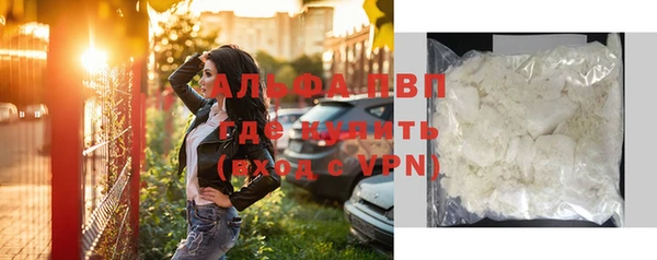 крисы Абаза