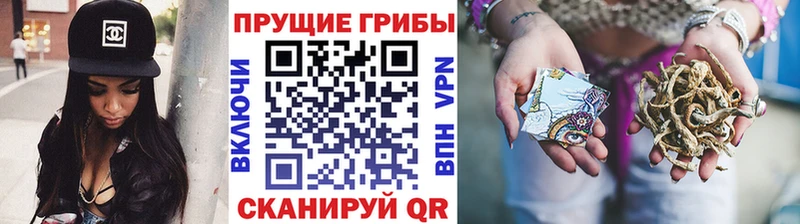 блэк спрут вход  Майский  Галлюциногенные грибы MAGIC MUSHROOMS 