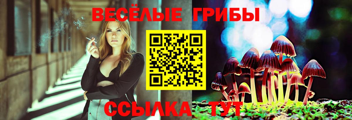 Майский  Псилоцибиновые грибы Magic Shrooms  Вход с VPN 